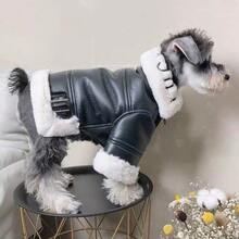 Pet Accessories Sets