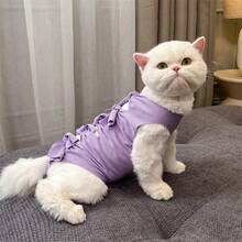 Cat Sterilization Bandage Suit, Female Cat Weaning Suit, Anti-Licking, Suitable For Post-Operation Use - Multicolor - View 5