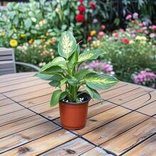 50/100个 3.5英寸植物育苗育苗盆，用于园艺、扦插和移植花卉植物的育苗盘 - 彩色 - 查看 2