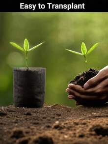 50 Pcs/Set Non-Woven Fabric Plant Grow Bags, Mixed Sizes Planter Containers, Suitable For Indoor & Outdoor Planting, Seedling Raising, Soil Transplanting, Home Gardening, Vegetable, Flower, Sapling Cultivation - Multicolor - View 3