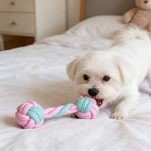 粉绿相间的狗狗磨牙绳玩具，手工编织，色彩缤纷，经久耐用，适合狗狗咀嚼、清洁牙齿、维护口腔健康，适合中小型犬，可用于拔河、捡球游戏等，是爱啃咬的狗狗的理想玩具，趣味十足，易于清洁，结构坚固。 - 彩色 - 查看 3