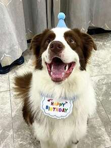 Pet Birthday Set - Includes Birthday Hat, Bib, Adjustable Buckle, Tie Closure Method, "HAPPY BIRTHDAY" Text, Pet Bow Tie Triangular Birthday Hat, Cat Birthday Party Supplies, Perfect Choice For Pet Birthday - Multicolor - View 4