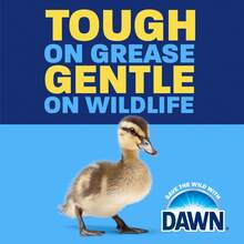 Dawn Platinum Plus PowerSuds Liquid Dish Soap, EZ-Squeeze Bottle – Ultra Grease-Fighting Power, 18 Oz.Long-Lasting Suds, Easy Dispensing, Gentle On Hands, Perfect For Kitchen Cleanup And Dishwashing - Xanh đậm - Xem 5