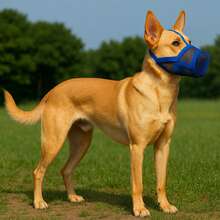 新款全罩式防咬防吠透气可调节犬用嘴套，防止狗狗误食，多种颜色可选 - 藍色 - 查看 4