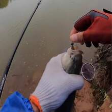 6厘米8克软饵，仿生鱼饵，路亚钓具，TPE材质，高弹性和抗撕裂性，适用于冰钓、微型鱼钓、淡水和海水垂钓 - 彩色 - 查看 5