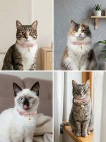 PETSIN Vòng cổ mèo tháo rời, Vòng cổ mèo có mặt dây chuyền ngọc trai Khóa tháo lắp nhanh Nơ hồng Vòng cổ mèo con có thể điều chỉnh bằng hạt polyester màu trắng Khóa mèo có thể điều chỉnh với trang trí hoa Vòng cổ mèo Vòng cổ cho thú cưng Vòng cổ cho chó phù hợp cho mèo và chó cưng thời trang - Màu Hồng baby - Xem 7
