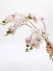 1 支仿真蝴蝶兰，9 根逼真的大号蝴蝶兰花茎，经典风格仿真兰花插花，装饰性丝绸蝴蝶兰，适合情人节、母亲节、客厅家居装饰、酒店婚礼花艺布置。