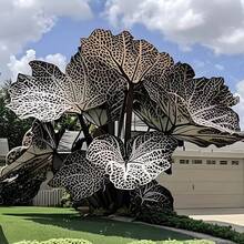 BIG GARDEN - Semillas de Oreja de Elefante E1 (500 unid) - 1 pieza - Ver 1