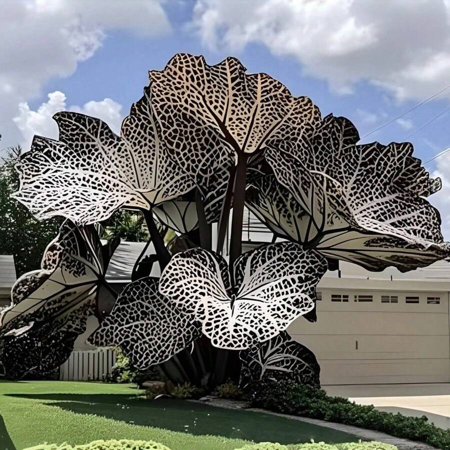 BIG GARDEN - Semillas de Oreja de Elefante E1 (500 unid) - 1 pieza - Ver 1