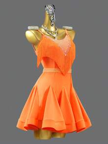 ABC Dancing New Sexy Fringed Mini Skirt, Fashion Latin Dance Fringed Dress, Women's Dance Party Cocktail Dress, Outdoor Evening Gown - Multicolor - View 3