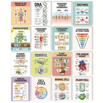 16pcs Biological Science Classroom Posters, Suitable For School Classrooms, Science Classrooms Decor, School Science Posters, Science Decor, Biology Classroom Decoration