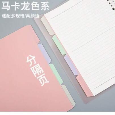 4 colores Hojas divisoras de carpeta de anillas de plástico desmontables