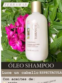 shampoo con extractos oleosos terramar 250ml - Champú - Ver 5