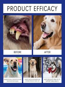 Pet Dental Powder - Proszek do czyszczenia zębów dla zwierząt domowych, usuwający plamy i kamień nazębny, odświeżający i odświeżający oddech, delikatna pielęgnacja jamy ustnej zwierząt, produkt do czyszczenia i pielęgnacji zębów dla psów/kotów - odświeża oddech, zapobiega chorobom dziąseł, wspomaga zdrowie jamy ustnej, usuwa płytkę nazębną i kamień nazębny, odpowiedni dla wrażliwych dziąseł, łatwy w użyciu proszek do czyszczenia zębów dla psów/kotów, produkty do pielęgnacji zębów dla psów, artykuły do higieny jamy ustnej zwierząt domowych - Wielokolorowe - Zobacz 11