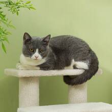 Cat Trees & Condos - White - View 4