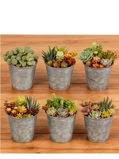 Retro Galvanized Iron Sheet Flower POTS, Creative Flower Vases For Succulents, Mini Potted Plant Buckets, Home Desktop Green Plant Planting POTS, Industrial-Style Garden Decoration Containers, Lightweight And Small Flower Cultivation POTS