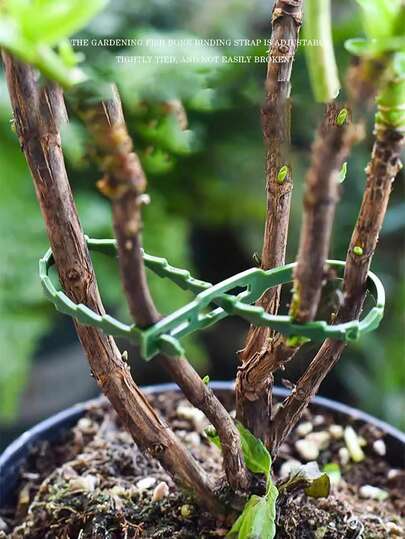 50个/包 可重复使用的植物绑带，花园灌木固定器，适用于攀援植物、葡萄藤、番茄茎，植物支撑夹，藤蔓支架固定，家用离线捆绑带