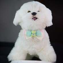 Heart Diamond Bear Pet Necklace Lace Bowknot Puppies And Kittens Bow Tie Collar Cute Prince Style Cat And Dog Decorative Accessories Cat Stuff Dog Collar - Multicolor - View 20