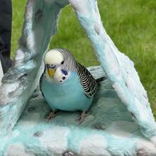 1个三角形鸟巢睡床，温暖毛绒鹦鹉吊床笼，鸟屋 - 彩色 - 查看 4