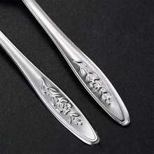 5 piezas Cuchara de alimentación de loro de acero inoxidable, cuchara para alimentar aves bebé con leche en polvo, plateado - Unitalla - Ver 9