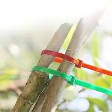 100pcs Garden Twist Ties, Plastic Wrap Ties, Plant Fixing Bands, Portable Garden Cable Ties, Suitable For Gardening And Lawn Care - Green - View 2