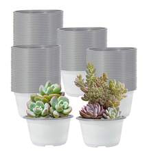 30pcs 4.7 Inch (Approx. 12cm) Plastic Succulent Planter Pots, With Drainage Holes, Suitable For Succulents, Pothos, Cacti And Other Small Plants/Flowers, White - White - View 1
