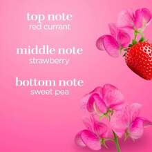 Body Fantasies Parfums De Signature For Women Sweet Pea Fantasy Body Spray 8.0 Oz, 8 Oz (Pack Of 2) - ColorH - View 3