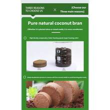 1/5/10pcs Compressed Organic Coconut Fiber Potting Soil, High Foaming Low Salt Coconut Fiber Blend, Designed For Seedlings And Flowering Plants Cultivation. Suitable For Gardening, Seed Germination And Plant Growth, For Indoor And Outdoor Use. Natural Appearance, High Nutrient Soil, Coconut Fiber Brick - Multicolor - View 10