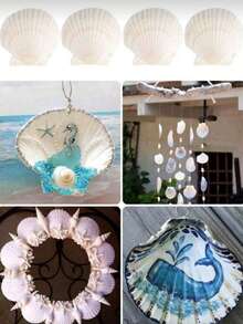 DIY Natural White Seashells: Painting, Graffiti, Wall Stickers, Barbecue, Hawaiian White Scallops - Multicolor - View 6