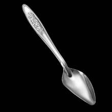 5 piezas Cuchara de alimentación de loro de acero inoxidable, cuchara para alimentar aves bebé con leche en polvo, plateado - Unitalla - Ver 8