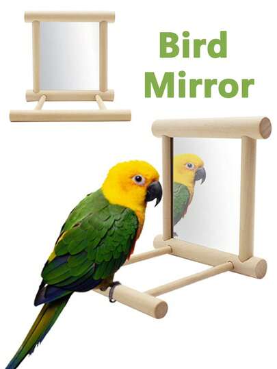 Accessories For Small & Medium Parrots, Parrot Bell Toys, Bird Mirrors, Cage Perches & Stands