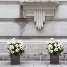 Artificial Geraniums Fake Flowers For Outdoors Decoration, 4/6 Bundles Silk Geraniums Red Flower UV Resistant Look Real Faux Plants For Front Door Garden Porch Planter Patio Balcony Yard Indoor Home - 黃色 - 查看 4