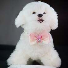 Heart Diamond Bear Pet Necklace Lace Bowknot Puppies And Kittens Bow Tie Collar Cute Prince Style Cat And Dog Decorative Accessories Cat Stuff Dog Collar - Multicolor - View 13