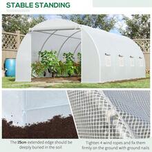 Professional-Grade Polytunnel For Garden & Backyard – 6x3x2m Greenhouse With 8 Windows & Zippered Door - Default - View 5
