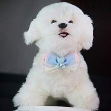 Heart Diamond Bear Pet Necklace Lace Bowknot Puppies And Kittens Bow Tie Collar Cute Prince Style Cat And Dog Decorative Accessories Cat Stuff Dog Collar - Multicolor - View 24