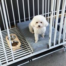 1pc Alpaca Fleece Pet Mat, Dog/Cat Pad, All Season Use For Small/Medium/Large Pets, Anti-Moisture - Grey - View 15