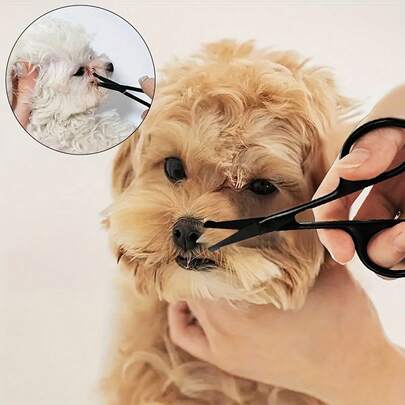 1Pc Mini Round Head Stainless Steel Pet Scissors, Grooming Scissors For Dogs And Cats - Easy To Clean, Removes Tear Stains, Trims Hair - Pet-Specific Scissors