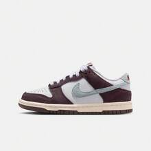 Nike Dunk Low SE (GS) 青少年休闲低帮运动鞋 IB5691-100 - 棕色 - 查看 1