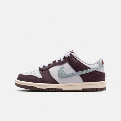  Nike Dunk Low SE (GS) Casual Low-Top Sneakers IB5691-100 For Teens