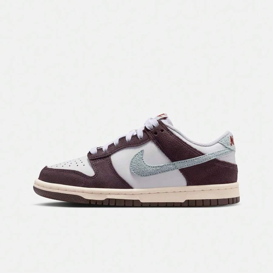 Nike Dunk Low SE (GS) 青少年休闲低帮运动鞋 IB5691-100 - 棕色 - 查看 1