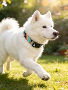 Bohemian Style Printed Adjustable Pet Collar, Suitable For Small, Medium And Large Dogs - Multicolor - View 8