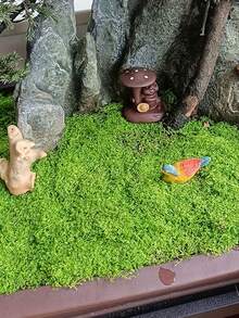 1片100克人造苔藓,适用于DIY工艺品、室内植物、DIY盆景微景观、人造绿植、玻璃容器、花盆、草坪、户外景观装饰、婚礼花园、客厅、卧室家居装饰、生日美学房间装饰、鱼缸装饰、北欧风、玻璃容器用品、活苔藓、人造苔藓/绿色苔藓/圣诞苔藓、玻璃容器配件、装饰苔藓 - 綠色 - 查看 4