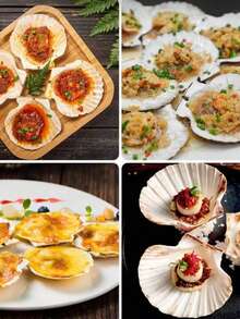 DIY Natural White Seashells: Painting, Graffiti, Wall Stickers, Barbecue, Hawaiian White Scallops - Multicolor - View 1