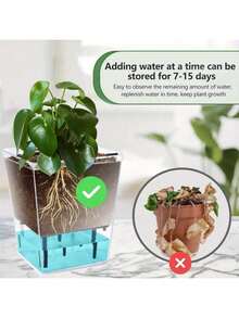 FEPK Maceta autorriegable automática, maceta cuadrada de plástico transparente y transpirable con autoadsorción, maceta hidropónica de escritorio, diseño moderno, multicomponente, apta para plantas araña, orquídeas, violetas africanas, satisface las necesidades de jardinería doméstica, jardinería fácil - Multicolor - Ver 6