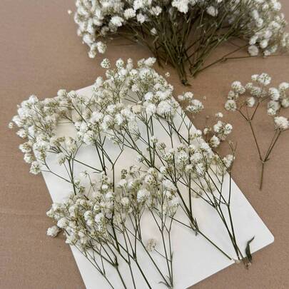 25/50/100/300pcs Ivory White Mini Gypsophila & Other Dried Flowers - For Resin Mold Art & Crafts, Suitable For Hair Accessories, Wedding Wreaths, Table Decorations, Home Decor