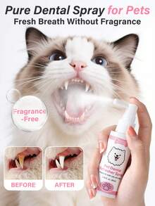 GJYC PET 一喷清新口气！宠物牙齿喷雾，适用于犬猫 - 无需刷牙，4 种口味（牛肉、鸡肉、苹果南瓜、原味）| 有效控制牙菌斑，使用方便，2.03 液盎司