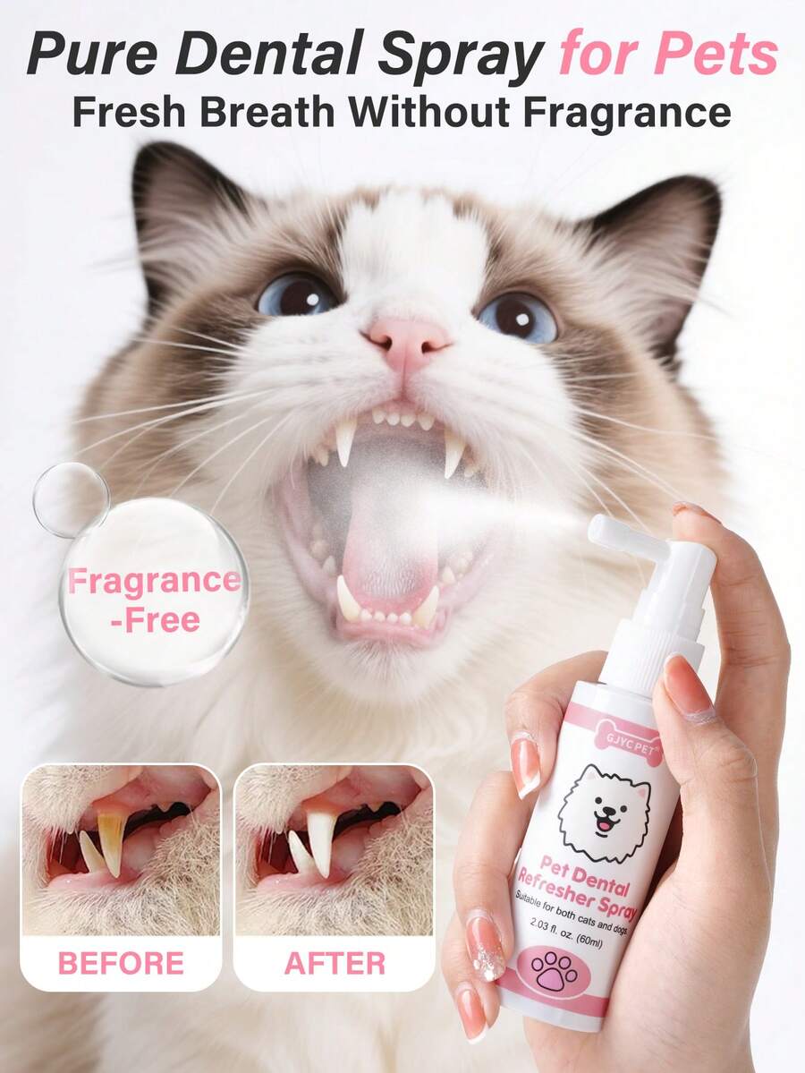 GJYC PET 一喷清新口气！宠物牙齿喷雾，适用于犬猫 - 无需刷牙，4 种口味（牛肉、鸡肉、苹果南瓜、原味）| 有效控制牙菌斑，使用方便，2.03 液盎司