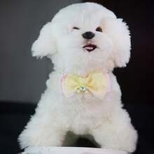 Heart Diamond Bear Pet Necklace Lace Bowknot Puppies And Kittens Bow Tie Collar Cute Prince Style Cat And Dog Decorative Accessories Cat Stuff Dog Collar - Multicolor - View 5