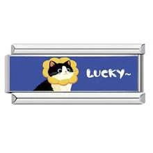 1 PC Sweet Cartoon DIY Modular Bracelet Accessories, Printed With Animal & Text Slogan Elements, Fresh Cute Jewelry DIY Materials - Silver - View 27