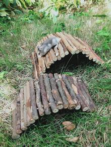 3-In-1 Automatic Water Bottle With Food Container Base, Hamster Ladder, Seesaw, Apple Branch, Climbing Toy Cage, Chew Toy, Hidden Cave, Suitable For Hamsters, Mice, Guinea Pigs, Hedgehogs - Multicolor - View 6